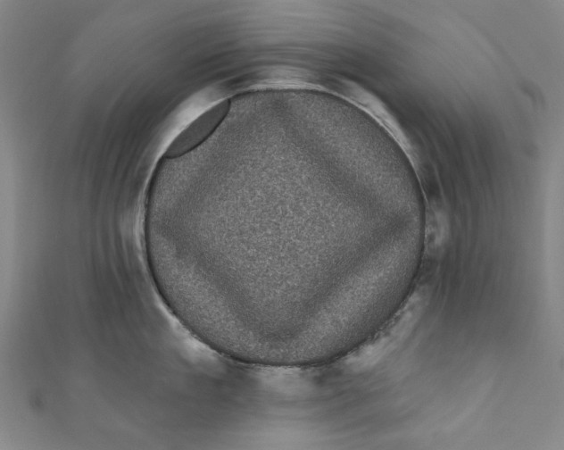 X0000110940909200907101244