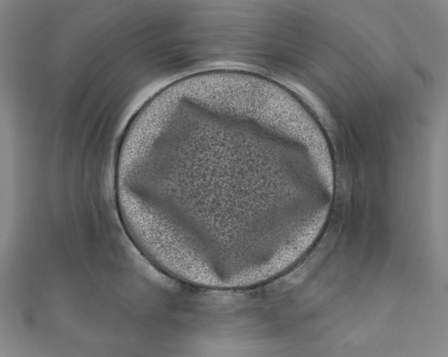 X0000110940910200907101244