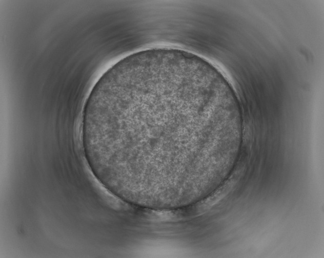 X0000110940911200907101244