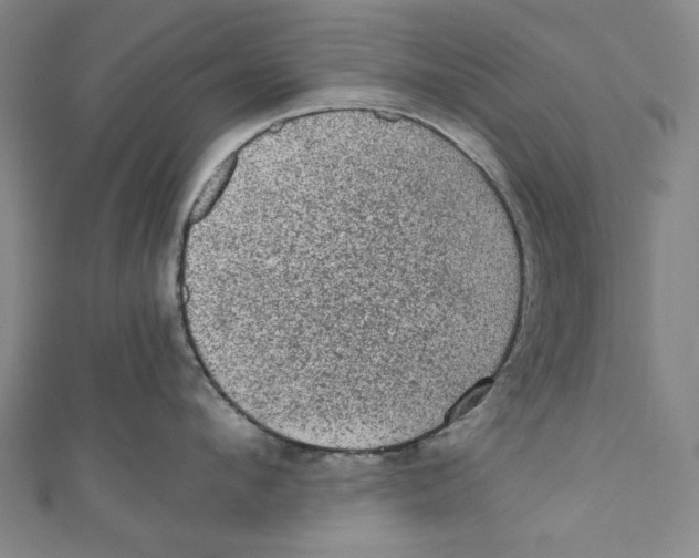 X0000110940912200907101244