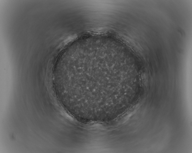 X0000110940913200907101244