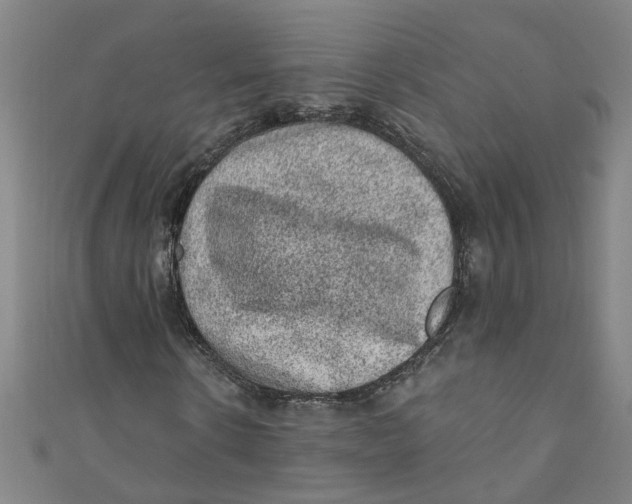 X0000110940914200907101244