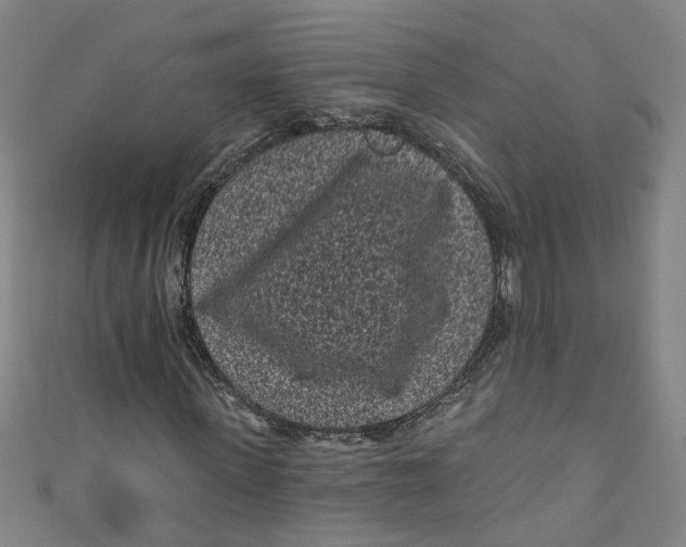 X0000110940915200907101244