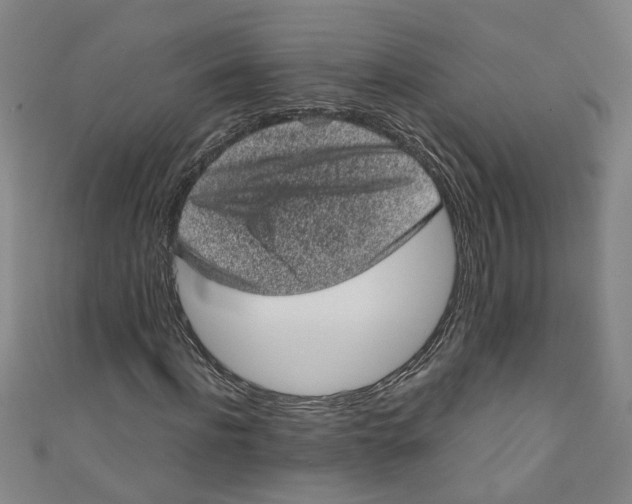 X0000110940916200907101244