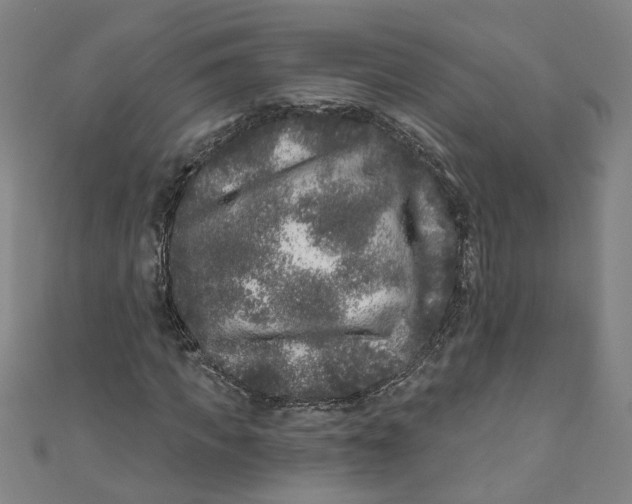 X0000110940917200907101244