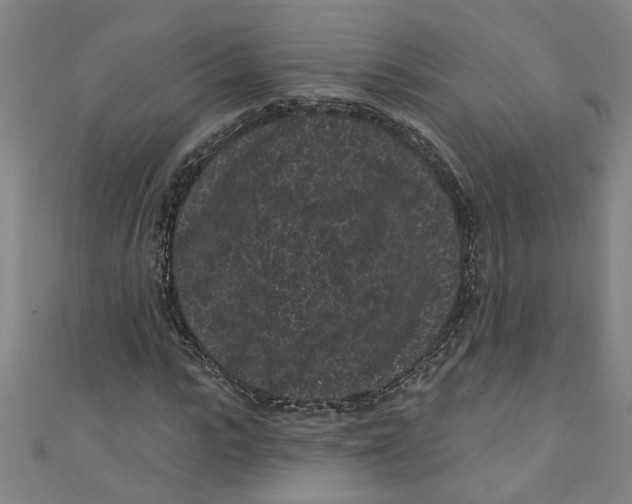 X0000110940919200907101244