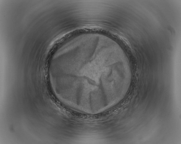 X0000110940920200907101244