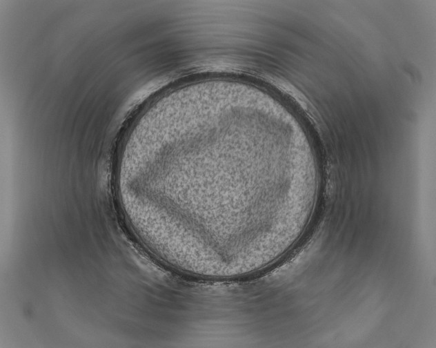 X0000110940922200907101244