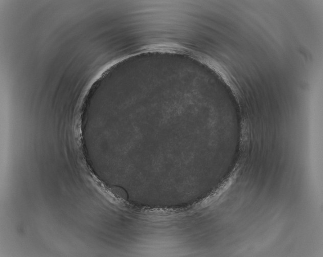 X0000110940923200907101244