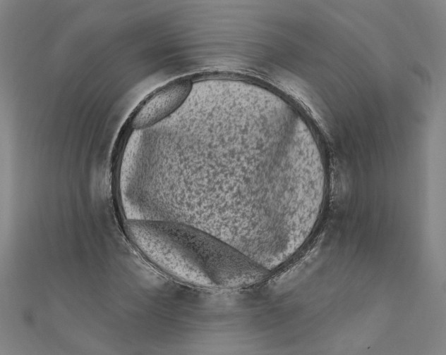 X0000110940924200907101244