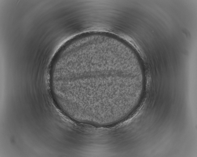 X0000110940926200907101244