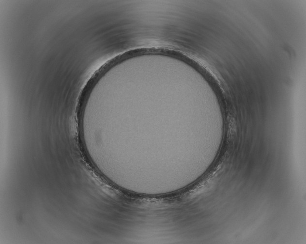 X0000110940927200907101244