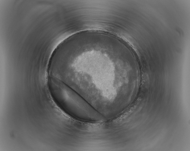 X0000110940928200907101244