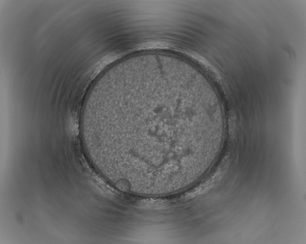 X0000110940929200907101244