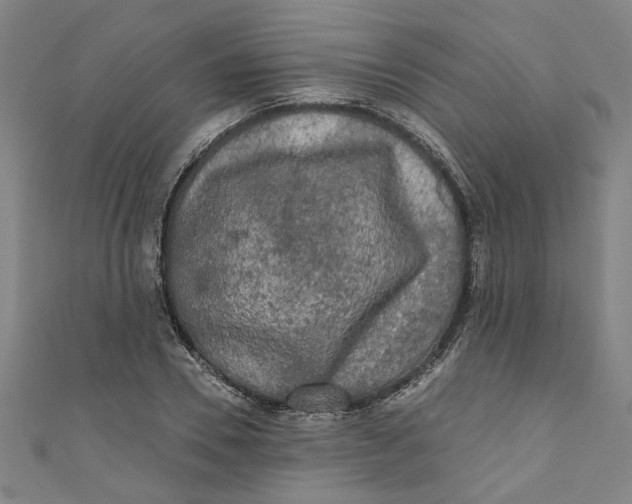 X0000110940930200907101244