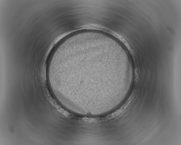 X0000110940931200907101244