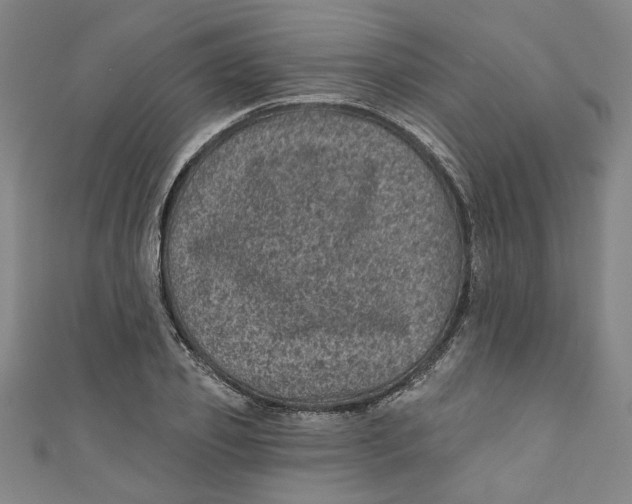 X0000110940933200907101244