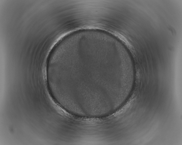 X0000110940934200907101244