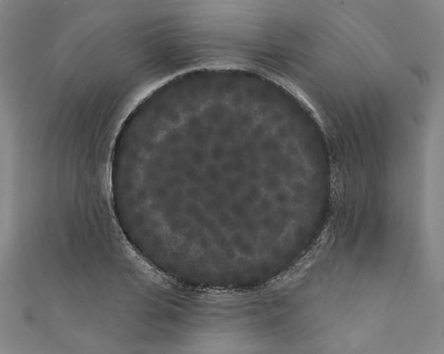 X0000110940935200907101244