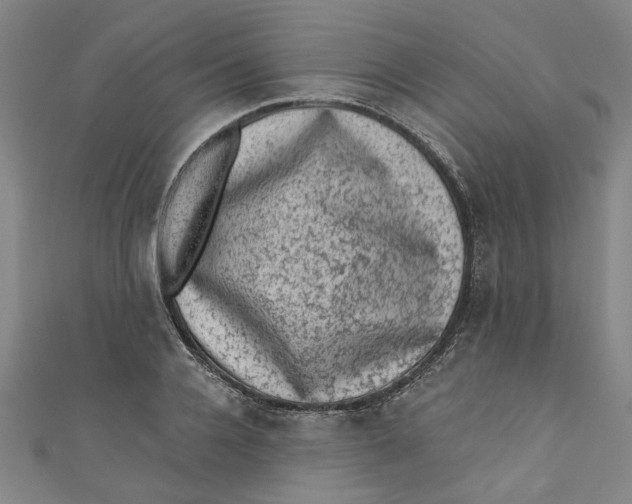 X0000110940936200907101244