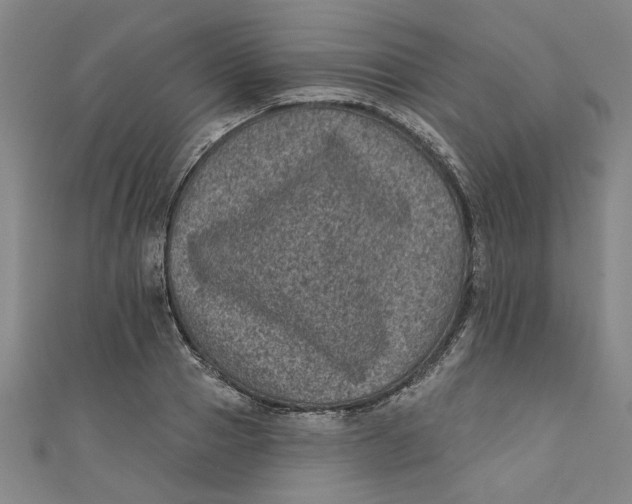 X0000110940937200907101244