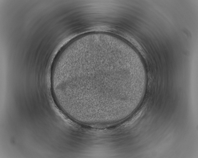 X0000110940939200907101244