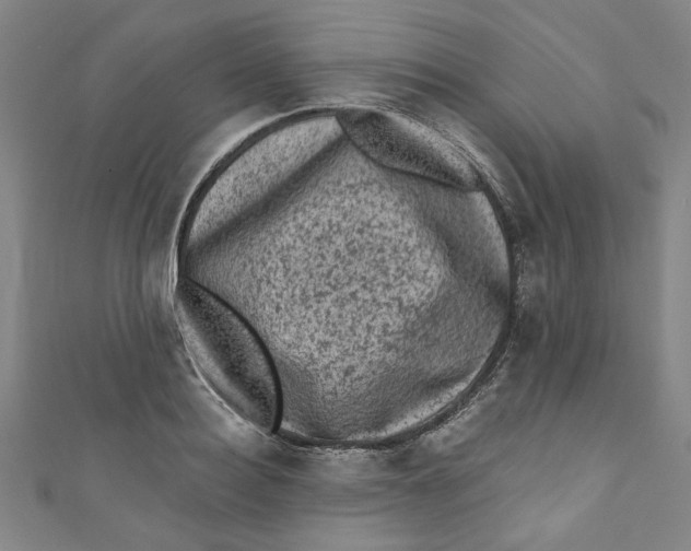 X0000110940940200907101244