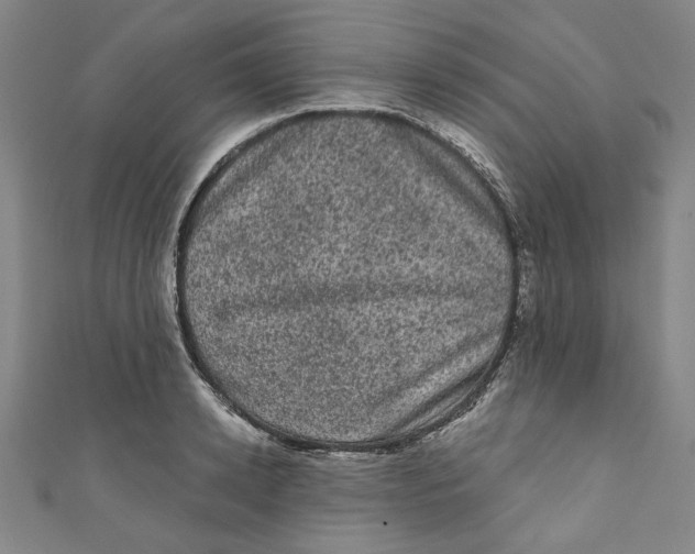 X0000110940942200907101244