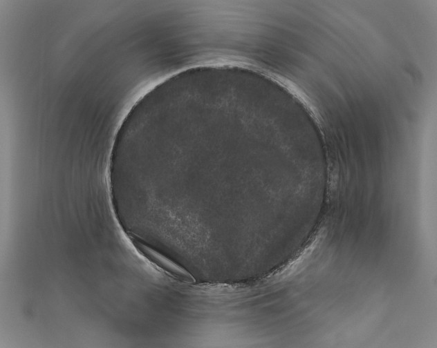 X0000110940943200907101244