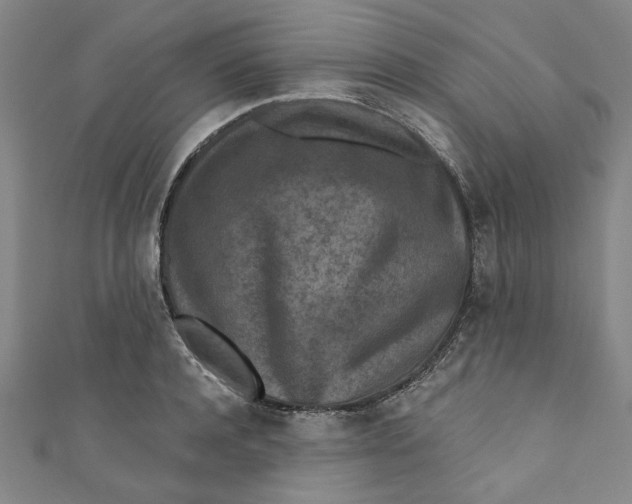 X0000110940944200907101244