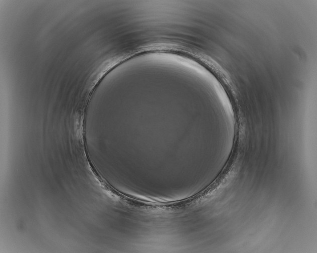 X0000110940945200907101244