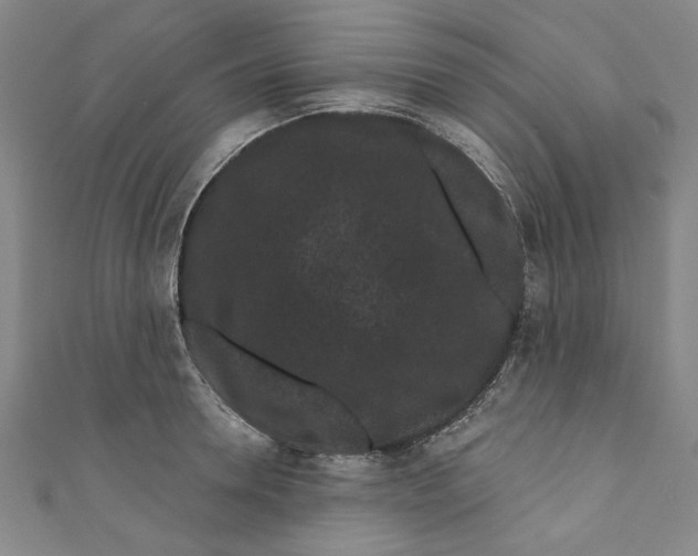 X0000110940946200907101244