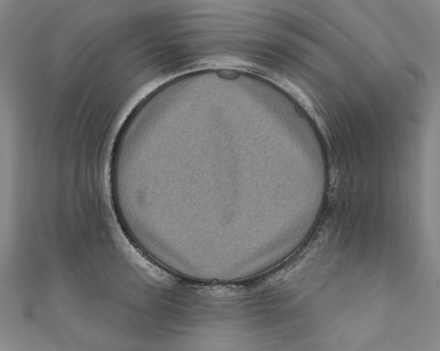 X0000110940947200907101244