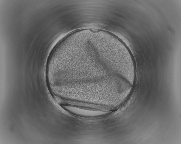 X0000110940949200907101244