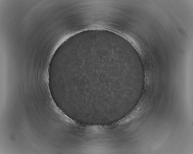 X0000110940950200907101244