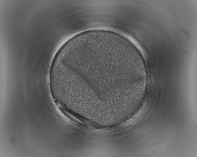 X0000110940951200907101244