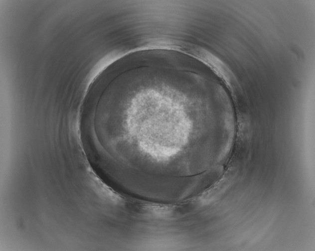 X0000110940952200907101244