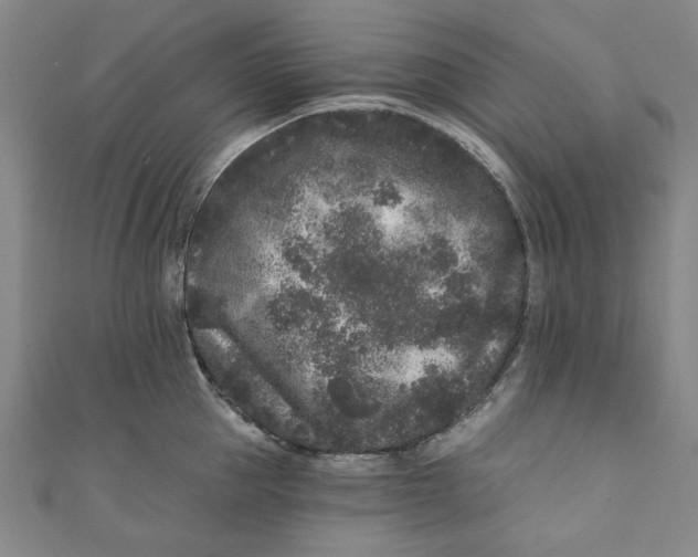 X0000110940953200907101244