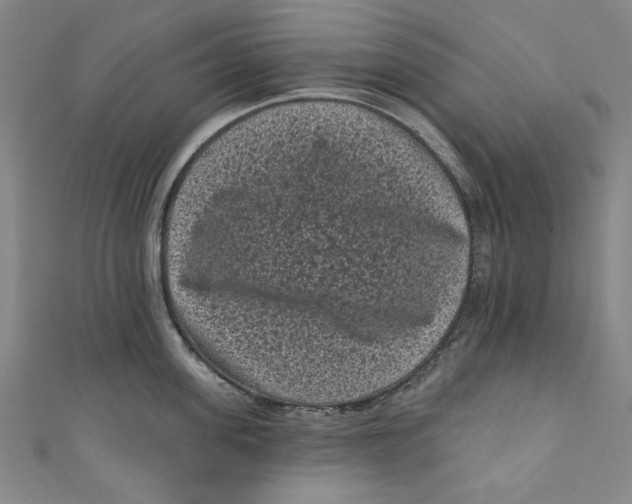 X0000110940955200907101244