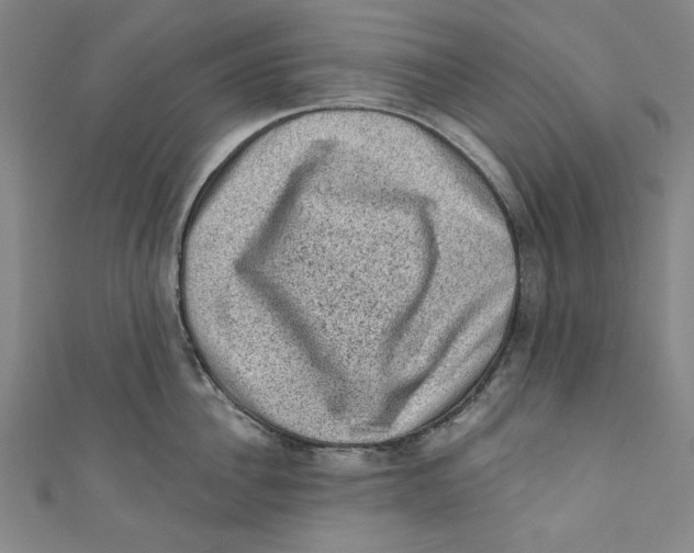 X0000110940956200907101244