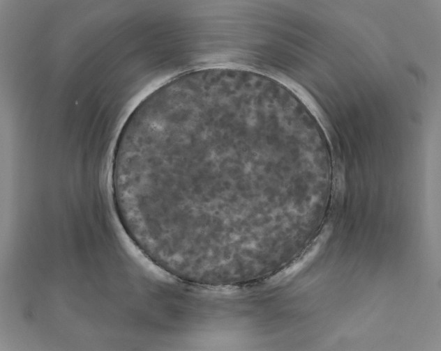 X0000110940957200907101244