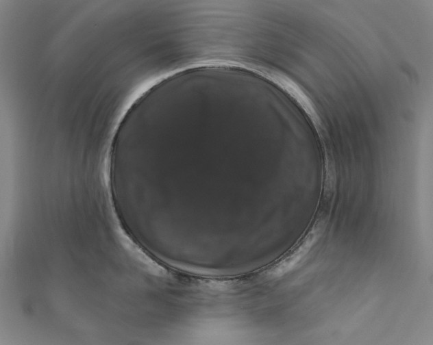 X0000110940958200907101244