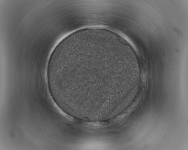 X0000110940959200907101244