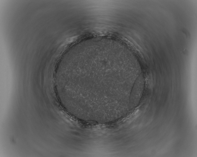 X0000110940961200907101244