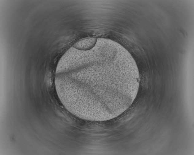 X0000110940962200907101244