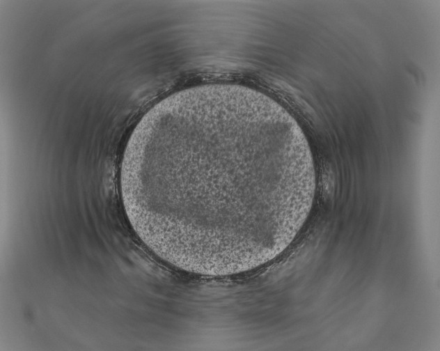 X0000110940964200907101244