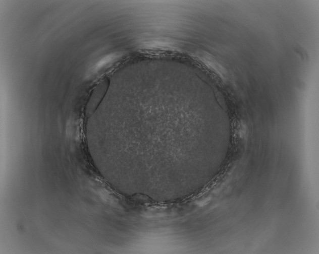 X0000110940965200907101244