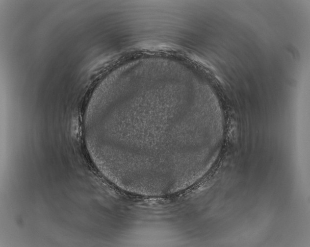 X0000110940966200907101243