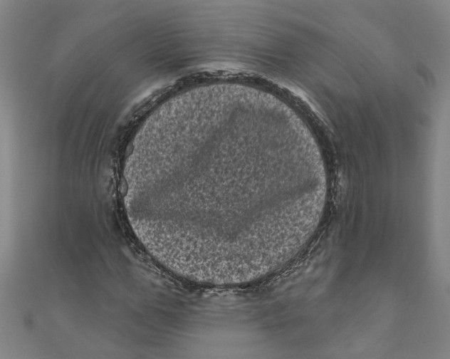 X0000110940967200907101243