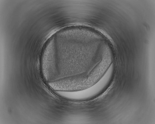 X0000110940969200907101243